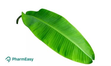 banana leaves uses