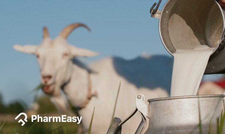 Benefits of Goat Milk