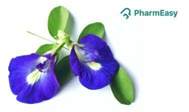 butterfly pea flower
