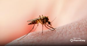 Diabetes Can Make Dengue More Lethal