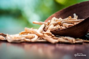 Shatavari: Uses, Benefits, Dosage