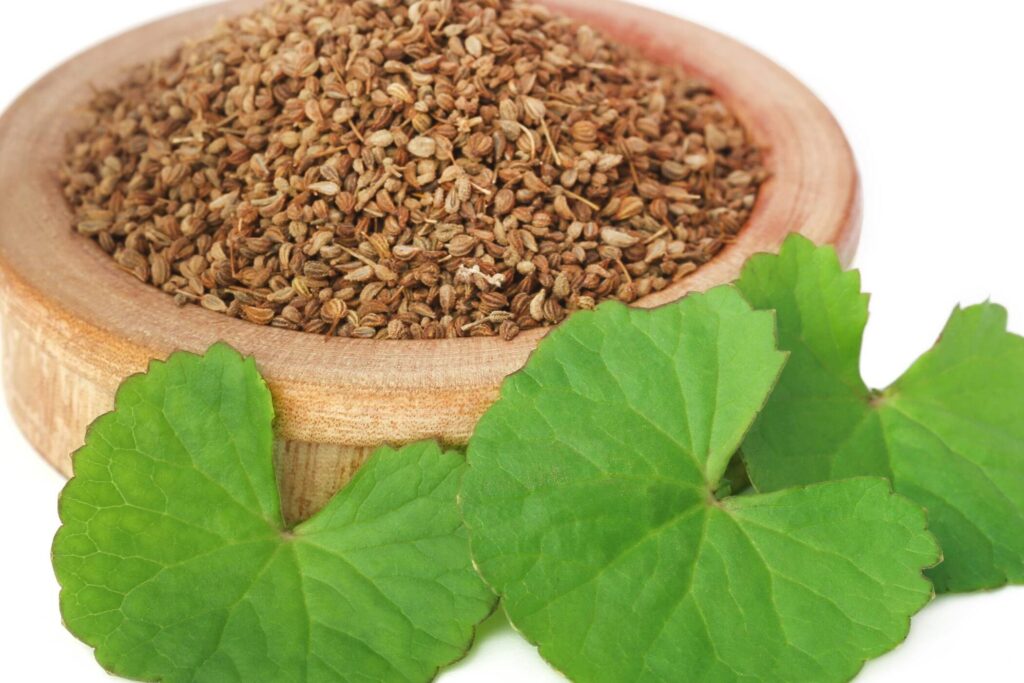 ajwain benefits