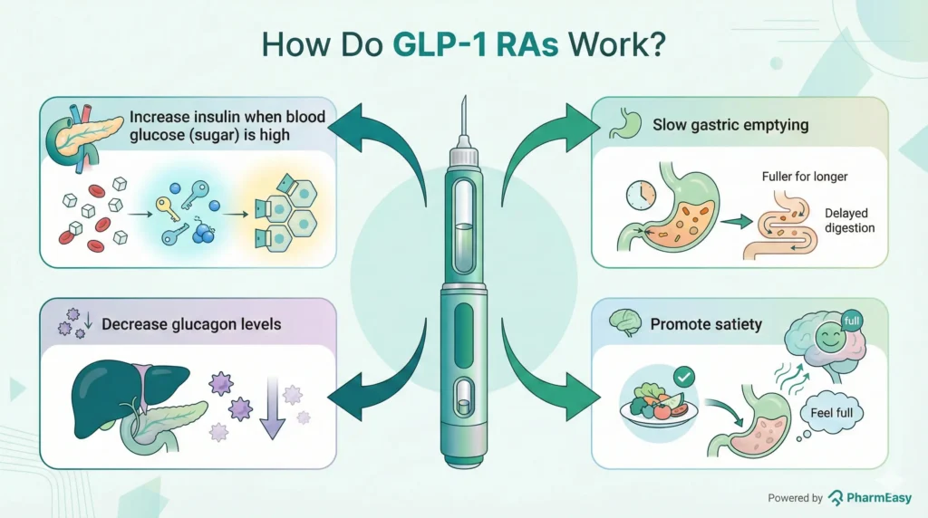 how do glp 1 ras work 